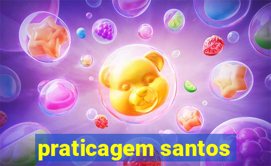 praticagem santos